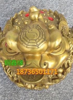 速发纯铜金大蟾蜍铜器招财摆件蟾号招财貔貅开业礼品招财摆设品