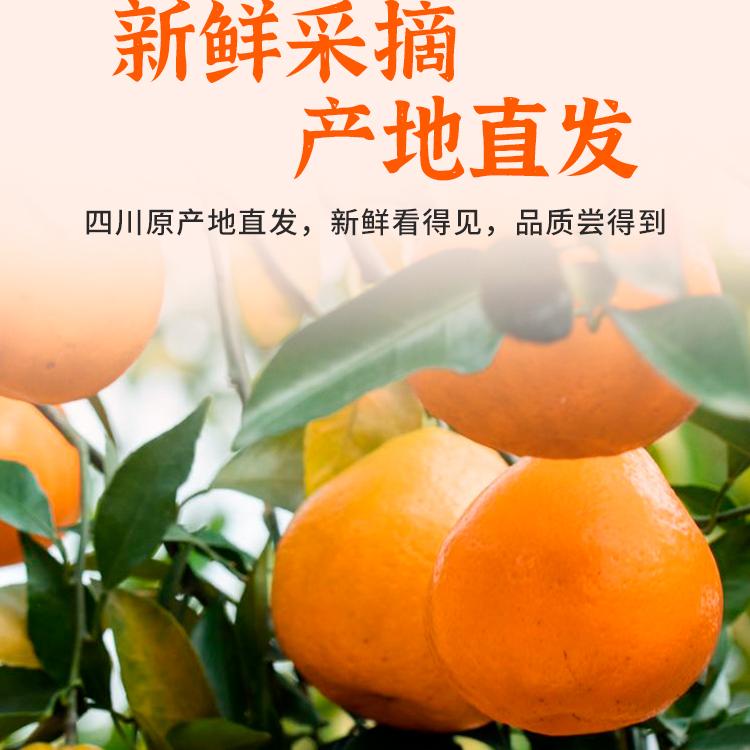 【k姐推荐】锋趣春见粑粑柑四川薄皮柑子应季新鲜水果