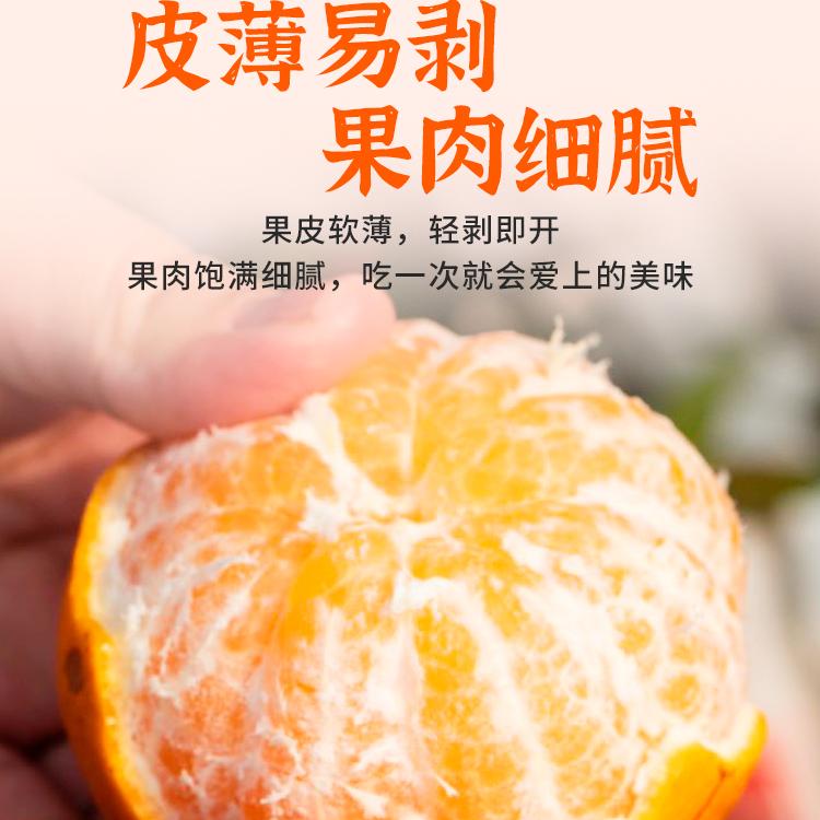 【k姐推荐】锋趣春见粑粑柑四川薄皮柑子应季新鲜水果