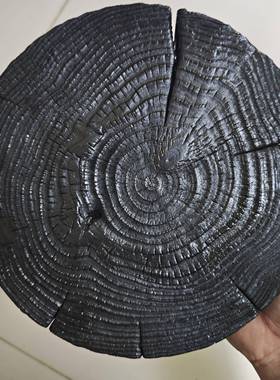 木木侘寂风碳化年轮片摆件木块装饰画民宿家居好物服装店装饰墙饰