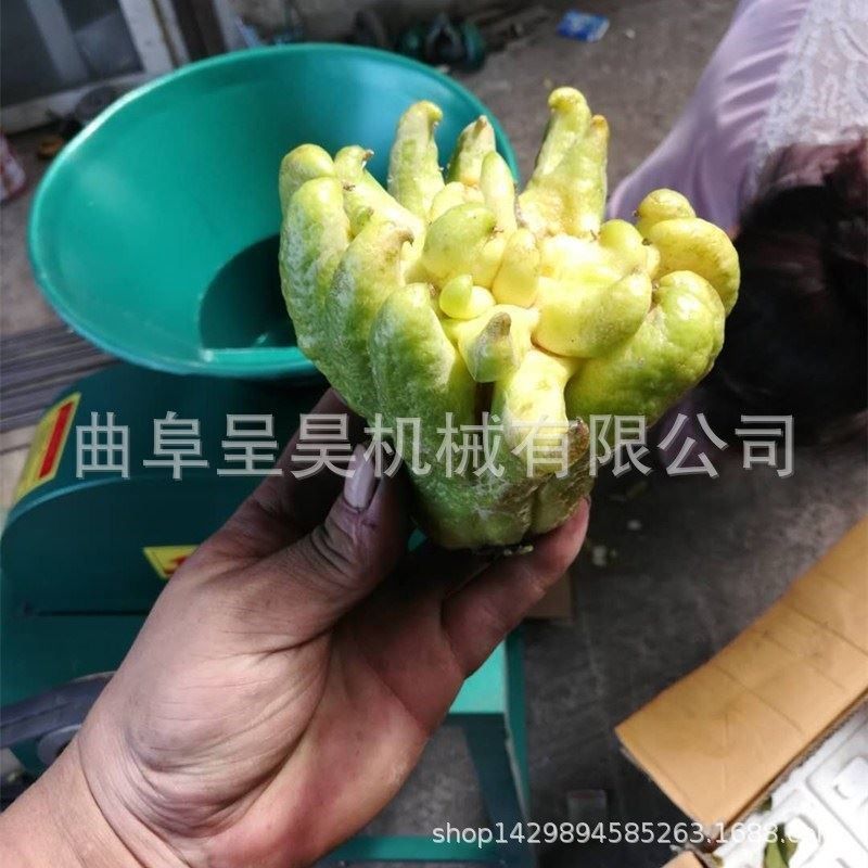 云南香橼切片机 大料口佛手柑切片厚薄能调价格便宜圆盘旋切设备,淘宝优惠券,粉丝福利购,淘宝优惠卷