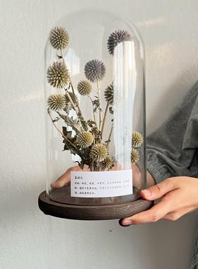 样板间轻奢植物标本装饰品玻璃罩摆件花艺中草药覆古简约标摆件