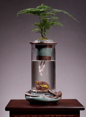 开业送礼绿植花卉k盆栽室内植物办公室常青树玻璃花瓶酒柜装饰摆