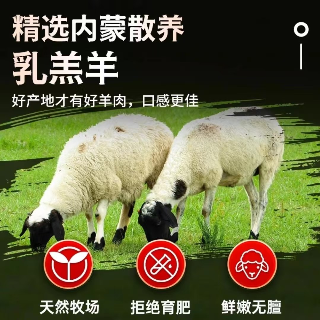 A羊肉新鲜现杀内蒙古鲜羊腿肉5斤纯肉去骨羊腿肉不注水羔羊腿商用,淘宝优惠券,粉丝福利购,淘宝优惠卷