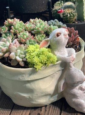 臻尚口袋小兔子花器多肉花盆萌可爱装饰桌面摆件创意礼品花园阳台