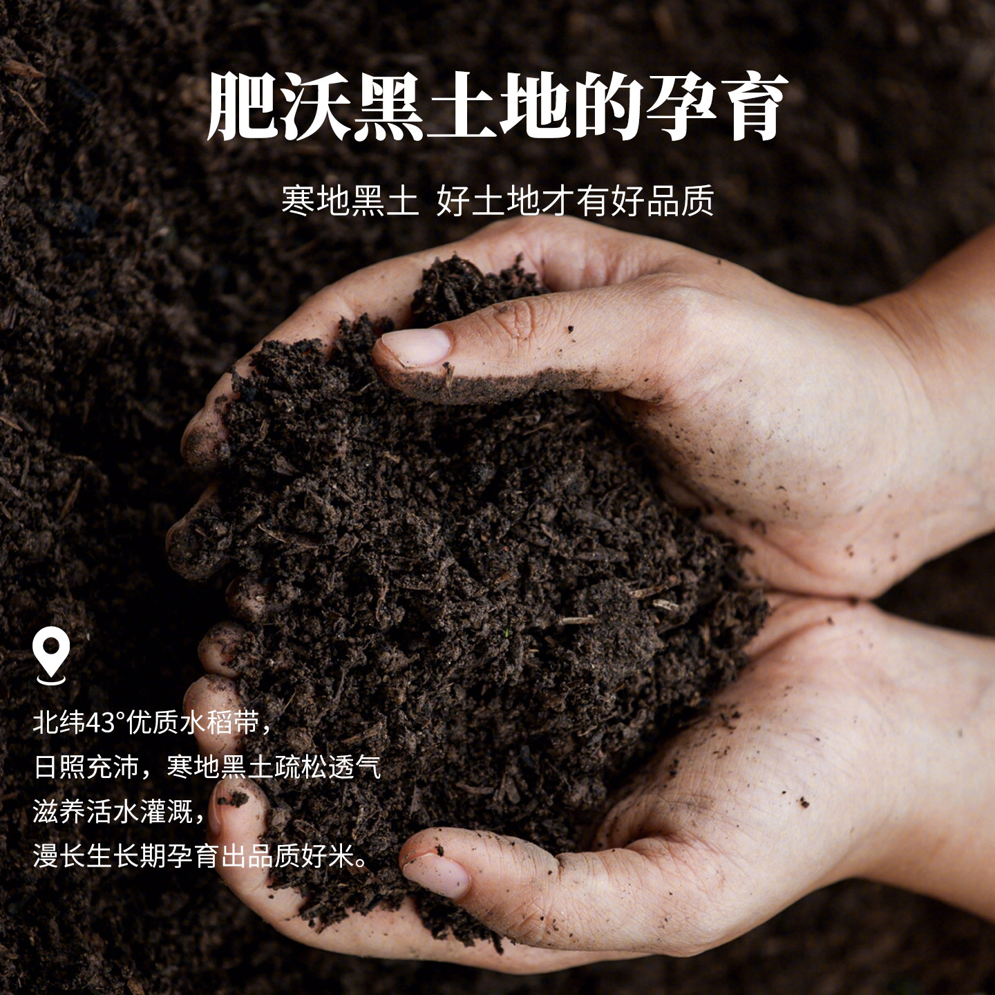 新米东北大米长粒香长白山寒地大米香米非真空包装厂家直销通用