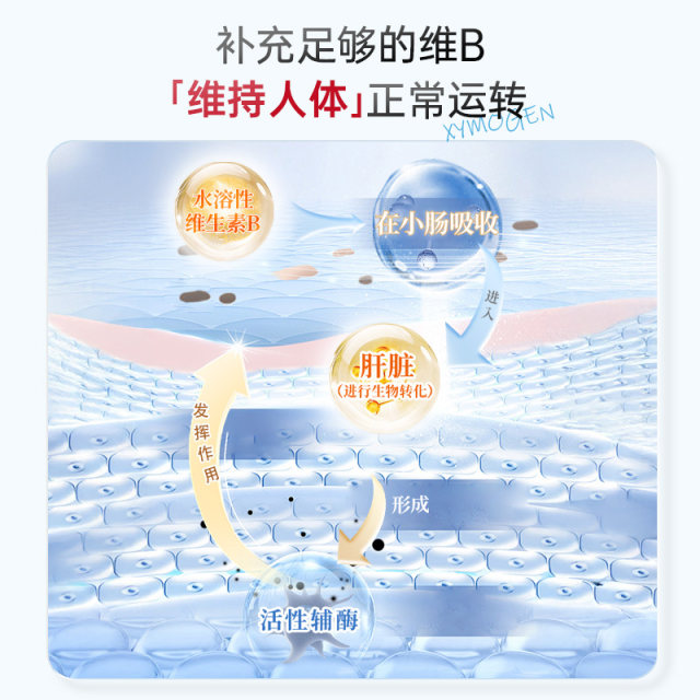 XYMOGEN anti-sugar B complex 10 ຊະນິດຂອງວິຕາມິນບີທີ່ມີການເຄື່ອນໄຫວ
