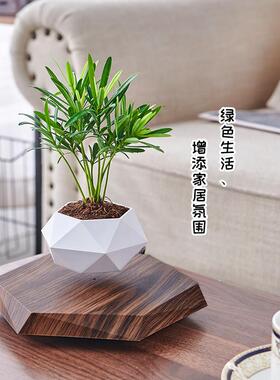 磁悬浮摆件办公室桌面客厅家居饰品装饰工艺品花盆轻奢磁悬浮盆栽