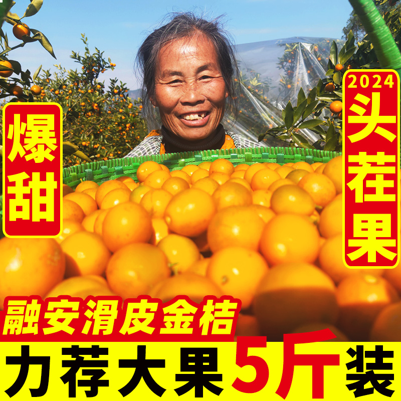 2024正宗广西融安脆皮金桔鲜果新鲜现摘水果多汁纯甜金桔整箱包邮