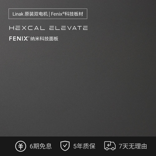 Elevate F5意大利进口Fenix桌板黑色亲肤触感LINAK双电机免费安装 - 图0