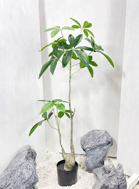 仿真绿植盆栽大叶伞客厅沙发旁植物装饰诧寂风轻奢假花树仿生绿植