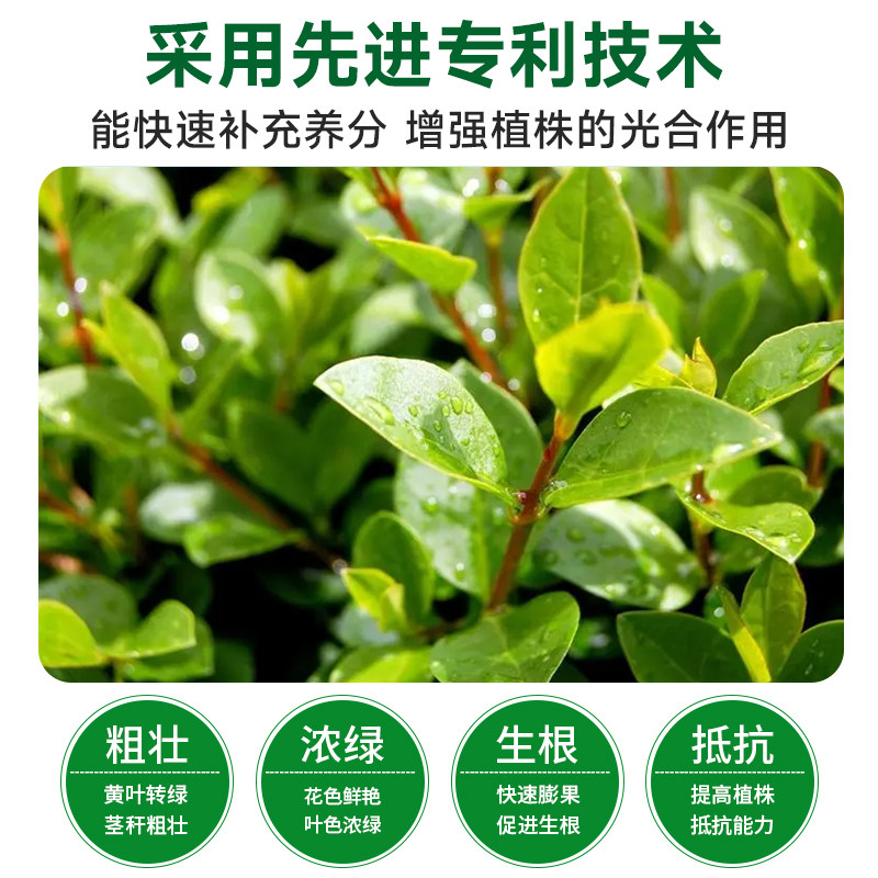 叶绿素叶面肥花卉果树蔬菜一喷绿控旺农用氨基酸中量元素水溶肥料,淘宝优惠券,粉丝福利购,淘宝优惠卷