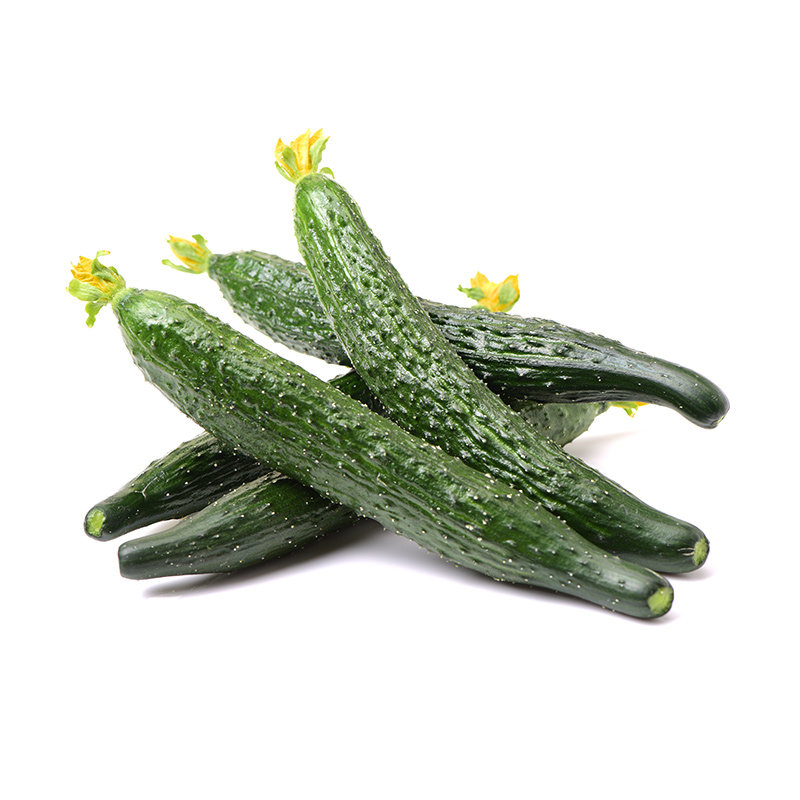黄瓜苗秧老品种带土山东寿光新鲜四季盆栽蔬菜孑高产水果黄瓜种子,淘宝优惠券,粉丝福利购,淘宝优惠卷