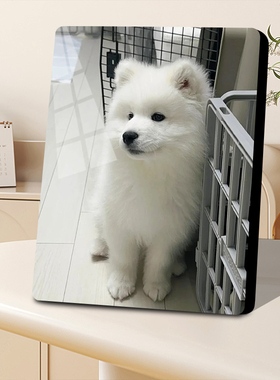 宠物纪念礼品猫咪狗狗相框洗照片