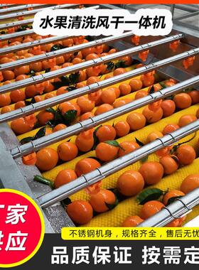 小青柑清洗选果机全自动橙子洗果机水果清洗风干一体机沃柑打蜡机