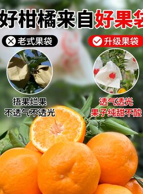 柑橘套袋橘子果袋丑橘橙子耙耙柑春见不知火芒果脐橙石榴水果套袋