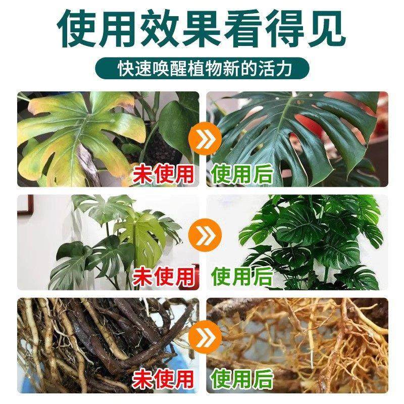 龟背芋营养液免稀释喷施叶面肥水培龟背芋专用肥锈斑病黄叶液体肥,淘宝优惠券,粉丝福利购,淘宝优惠卷