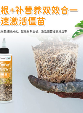 艾尚棵植物爆根王生根素通用型营养液生根液促根养根移植多肉花肥