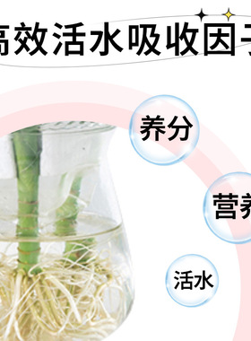 鲜花保鲜剂室内桌面办公室玫瑰花百合花鲜花延长花期营养液保水剂