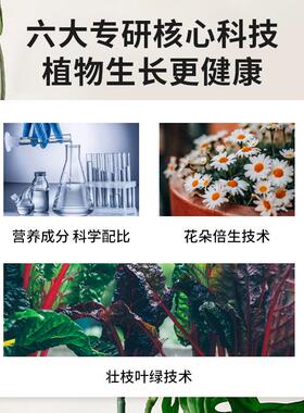 植物营养液通用型花肥水培发财树养花蔷薇玫瑰蔬菜叶菜用营养液体