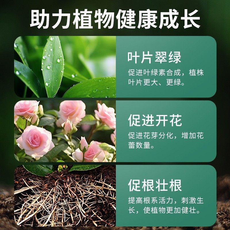 三元覆合肥料氮磷钾蔬菜种菜养花专用有机花卉水溶肥植物营养粒棒,淘宝优惠券,粉丝福利购,淘宝优惠卷