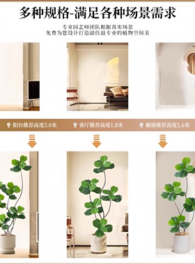 仿生绿植摆件大型轻奢客厅装饰花