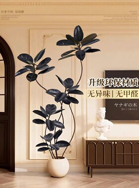 仿真黑金刚橡皮树客厅大盆栽高级