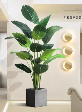 旅人蕉仿真绿植假植物装饰天堂鸟