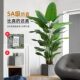 Bird of paradise simulated green plant high-end light luxury living room potted plant