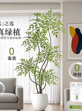 仿真植物南天竹落地盆栽