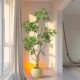 Simulated duck foot wood high-end light luxury green plant ornaments for the living room