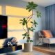 Simulated green plant black diamond rubber tree fake plant ornaments