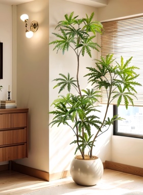 仿真绿植孔雀木室内大型盆景