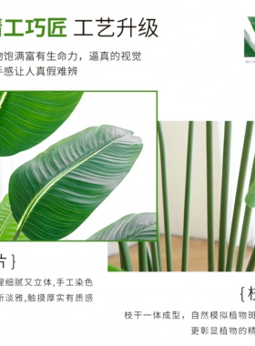 仿真绿植天堂鸟不用浇水四季常青