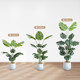 Monstera simulated green plants living room large potted fake green plants