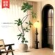 Simulated green plant black diamond rubber tree fake plant ornaments