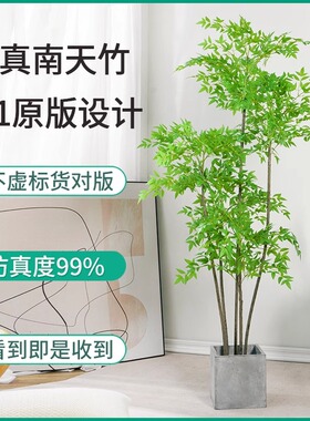 仿真植物南天竹落地盆栽家居装饰