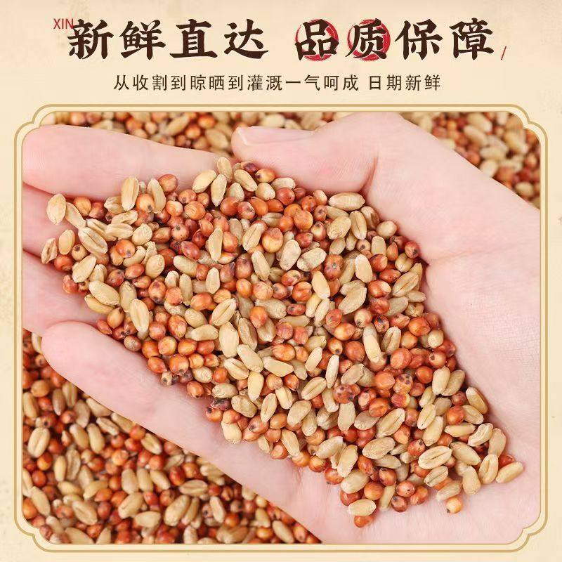 高粱小麦子混合喂鸽子喂鸡鹌鹑渣糁红高梁营养鸽粮食保健砂观赏鸽,淘宝优惠券,粉丝福利购,淘宝优惠卷