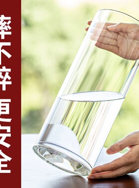 【金钻专属花瓶】绿植花卉透明简约插花花瓶百搭高级摆件