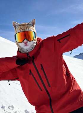 搞怪印花猫咪面罩 3D动物狗狗户外滑雪头套 骑行防风全包护脸帽