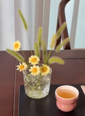 插花玻璃球狗尾巴草花枝固定神器