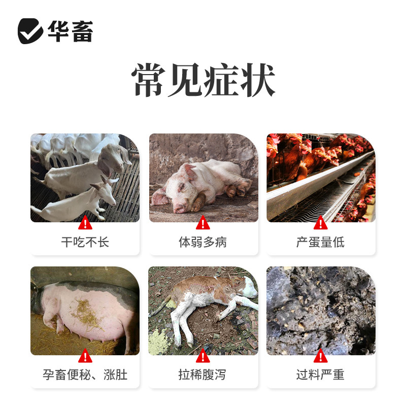 华畜丁酸梭菌浓缩液兽用益生菌猪牛羊鸡鸽禽用鸡儿健氨立消em菌液,淘宝优惠券,粉丝福利购,淘宝优惠卷