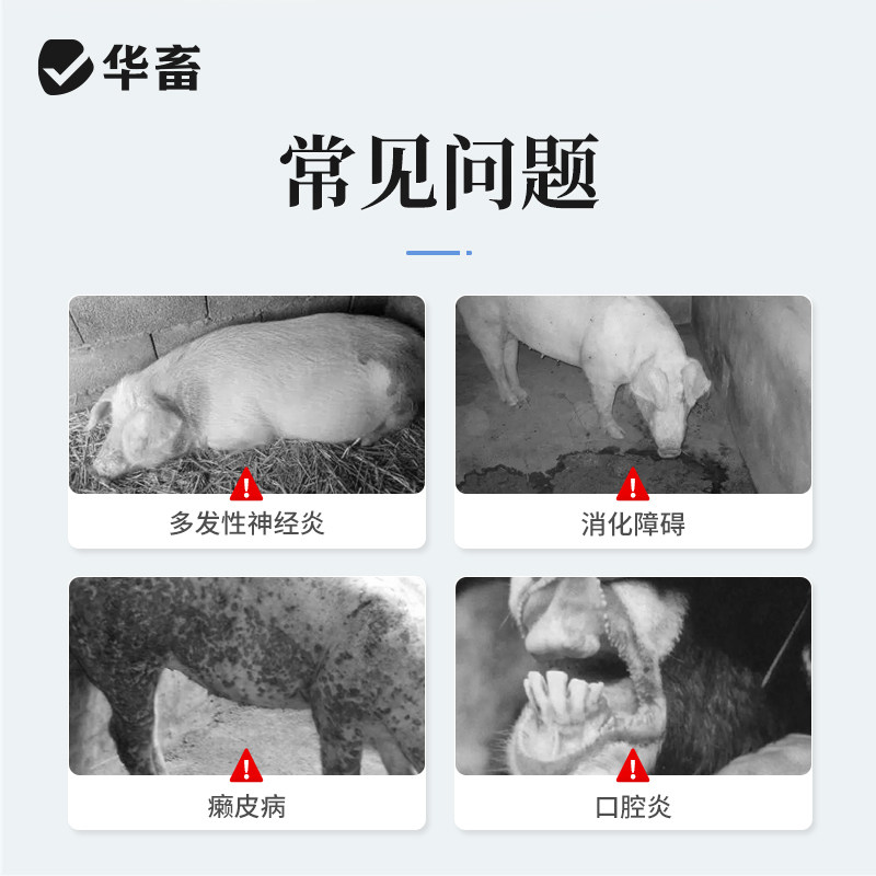华畜复合维生素b注射液兽药兽用vb针剂猪牛羊厌食消化不良赖皮病,淘宝优惠券,粉丝福利购,淘宝优惠卷