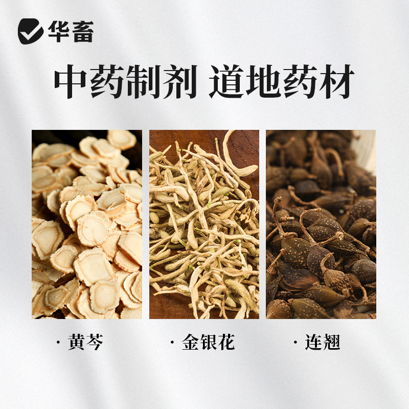 华畜兽药双黄连口服液兽用鸡鸭鹅禽猫狗感冒发烧药呼吸道清热解毒 - 图1