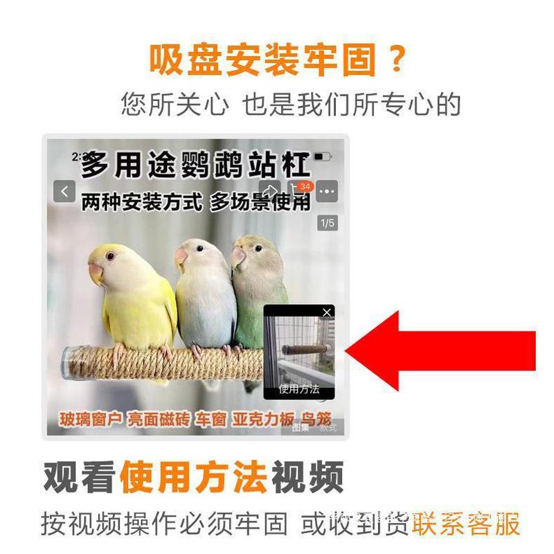多用途鹦鹉麻绳吸盘站杠棍架子笼子玄凤虎皮鸟用车玻璃磁砖 - 图0