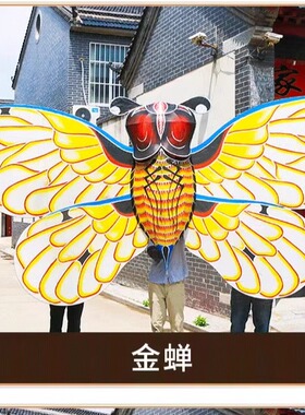 专业定制大型风筝 巨型风筝 美陈 道具 LOGO定制广告活动宣传展览