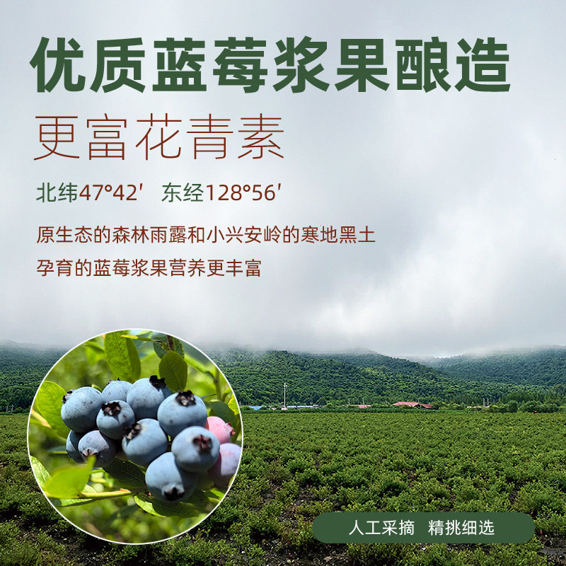 岚图小兴安岭野生蓝莓冰酒葡萄酒男女生低度微醺水果酒整箱礼盒装