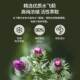 ດຽວນີ້ Noo Double Strength Milk Thistle Extract ບຳລຸງຕັບສຳລັບຜູ້ຊາຍ. ໝາກເຜັດນົມ ບຳລຸງຕັບ ແລະ ບັນເທົາອາການເມົາຄ້າງ ແລະ ນອນເດິກ.