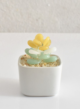 仿真多肉仙人掌豆芽植物r小盆栽创意琉璃摆件办公室玻璃工艺品礼