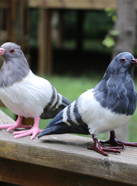 仿真鸽子摆件白鸽道具飞s翔鸽婚庆装饰动物模型鸟类标本和平鸽模